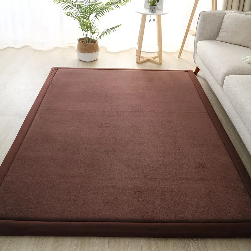 Thick Coral Fleece Carpet for Living Room  Bedroom,or Baby Room.