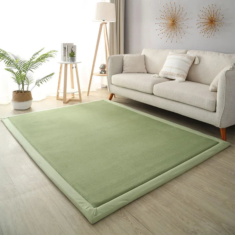 Thick Coral Fleece Carpet for Living Room  Bedroom,or Baby Room.