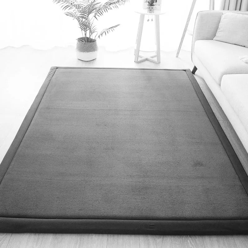 Thick Coral Fleece Carpet for Living Room  Bedroom,or Baby Room.