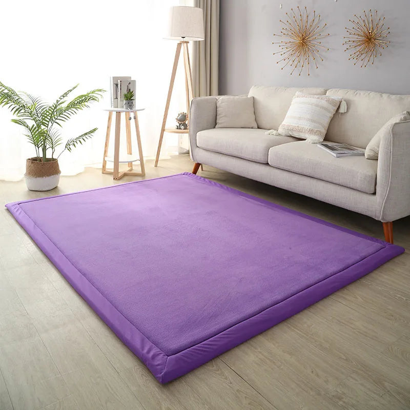 Thick Coral Fleece Carpet for Living Room  Bedroom,or Baby Room.