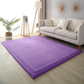 Thick Coral Fleece Carpet for Living Room  Bedroom,or Baby Room.