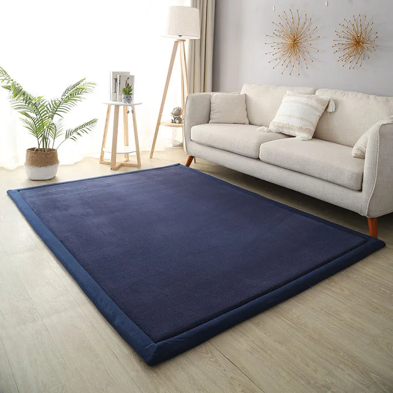 Thick Coral Fleece Carpet for Living Room  Bedroom,or Baby Room.