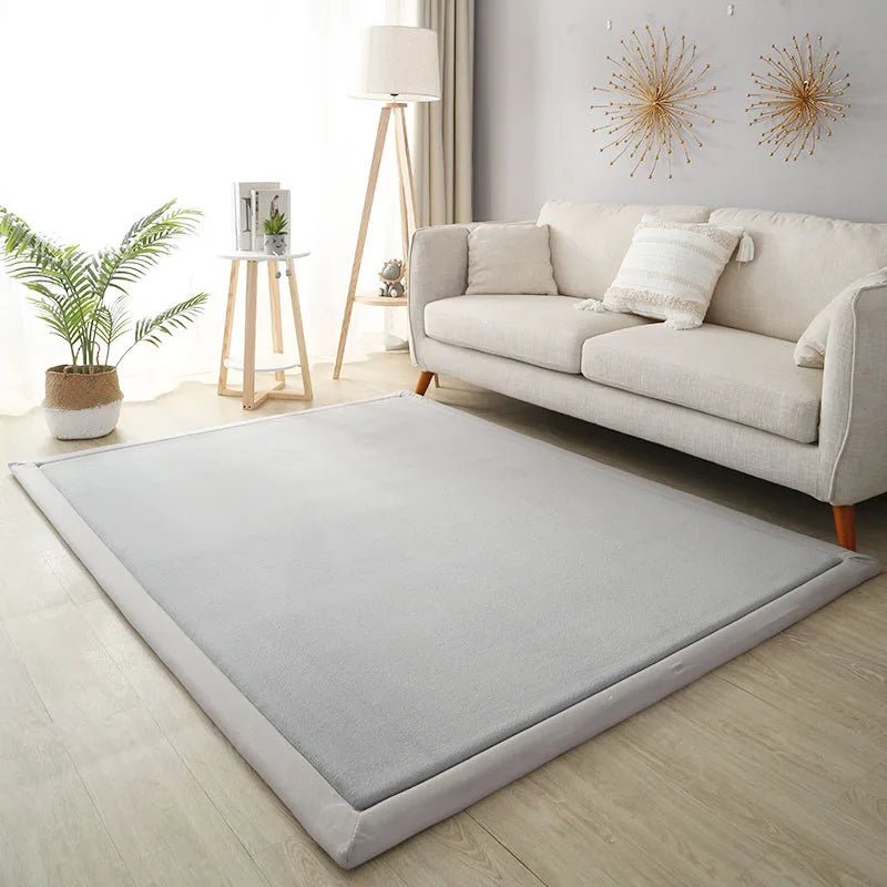 Thick Coral Fleece Carpet for Living Room  Bedroom,or Baby Room.