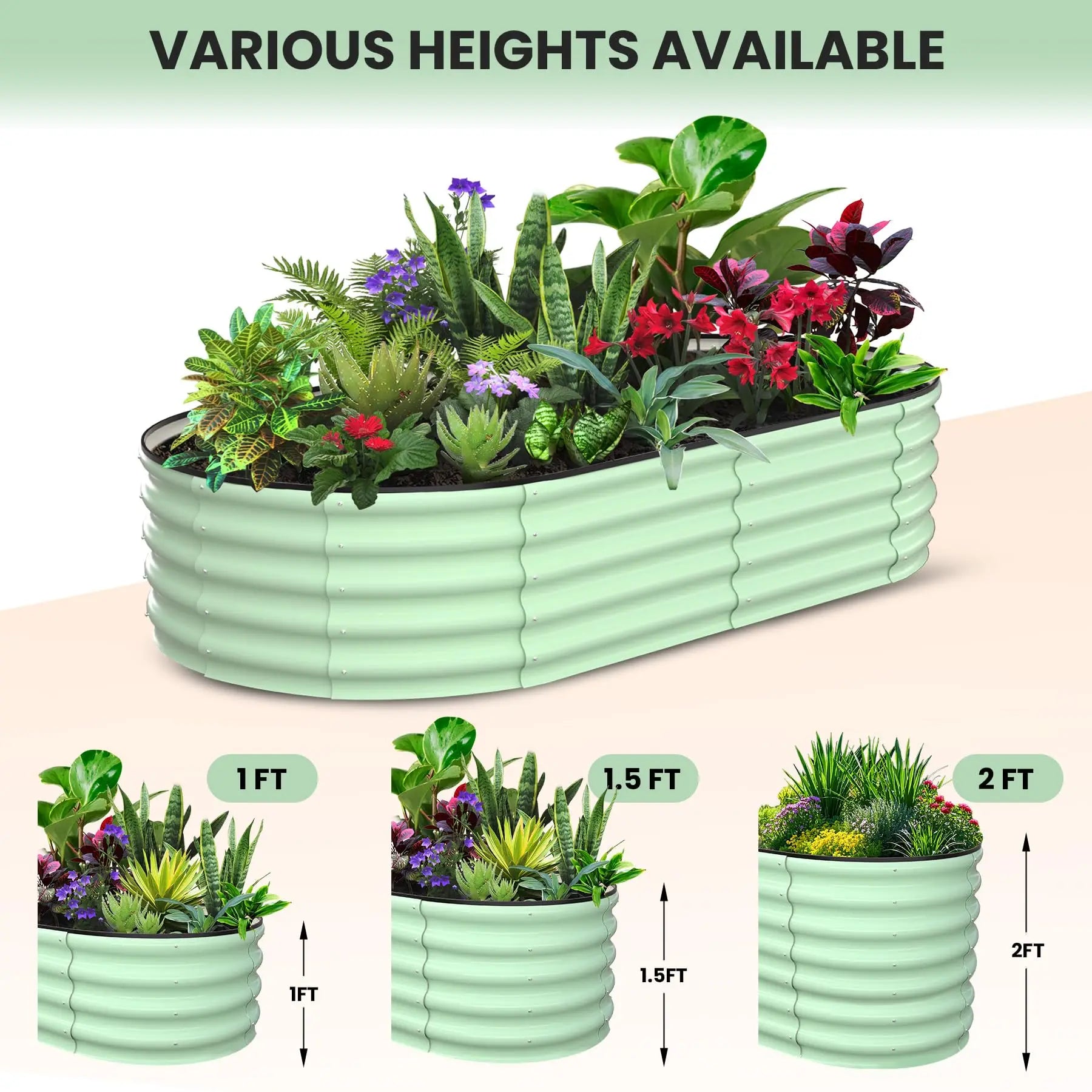 2-Pack Oval Galvanized Steel Raised Garden Bed Open Base Safety Edge Metal