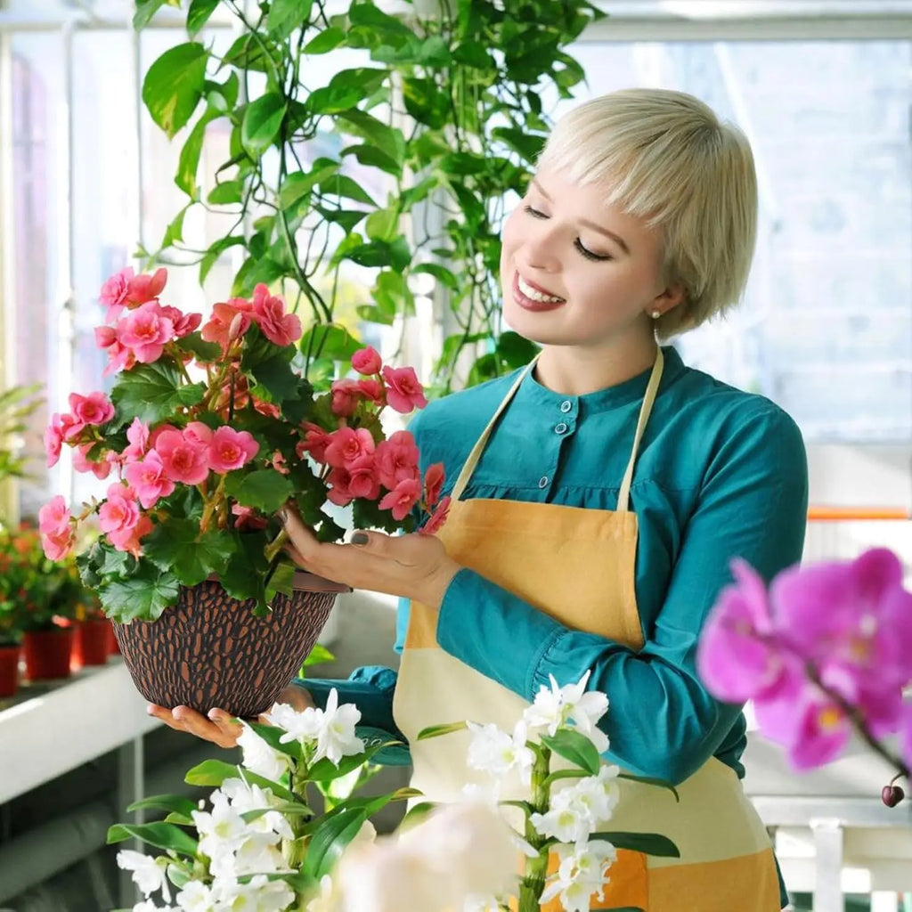 4 Pack 8 Inch Plant Pots with Drainage Holes & Trays,