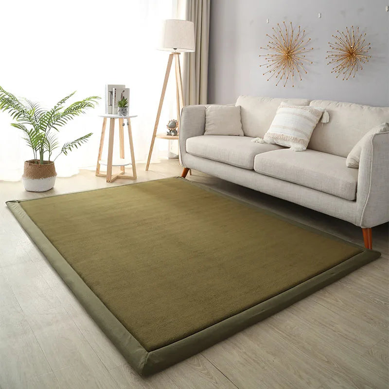Thick Coral Fleece Carpet for Living Room  Bedroom,or Baby Room.