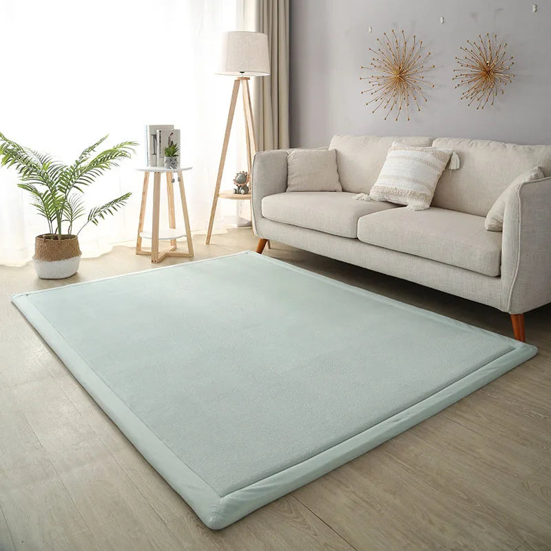 Thick Coral Fleece Carpet for Living Room  Bedroom,or Baby Room.