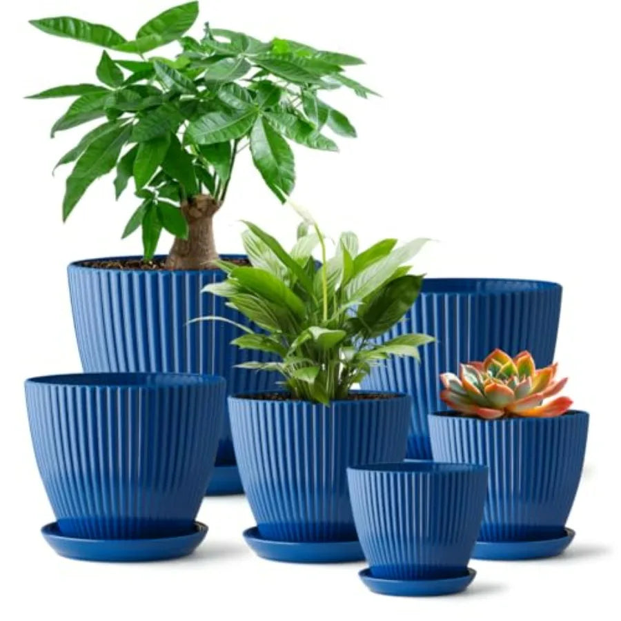 Plant Pots with Saucers and Drain Holes