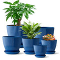Plant Pots with Saucers and Drain Holes