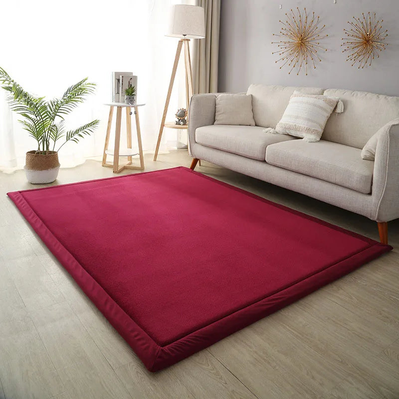 Thick Coral Fleece Carpet for Living Room  Bedroom,or Baby Room.
