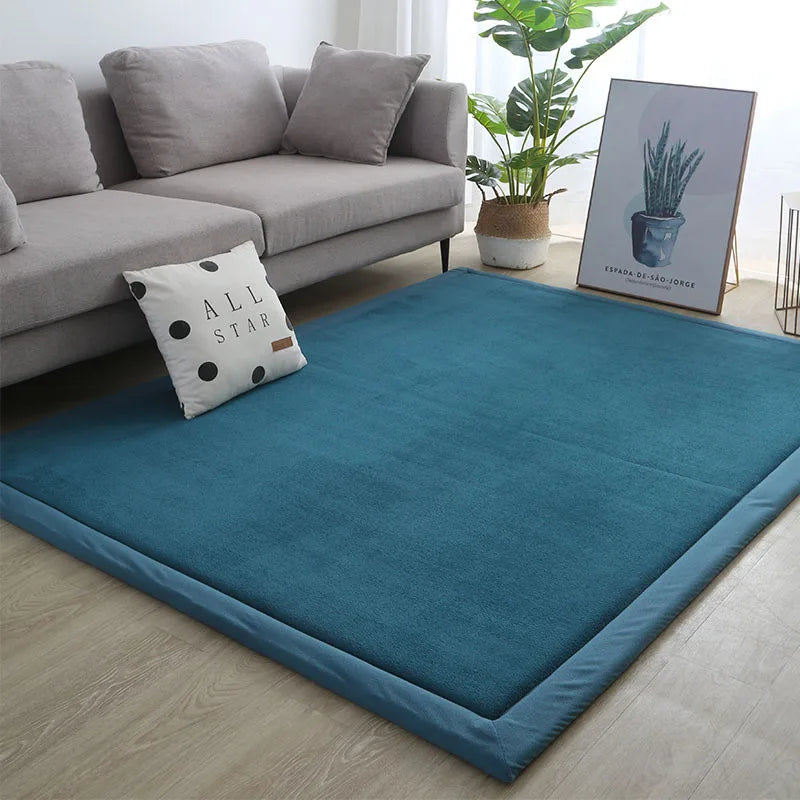 Thick Coral Fleece Carpet for Living Room  Bedroom,or Baby Room.