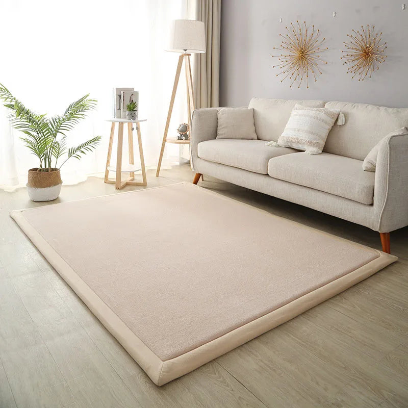 Thick Coral Fleece Carpet for Living Room  Bedroom,or Baby Room.